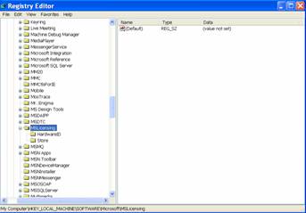 MS Profile Hive Cleaner