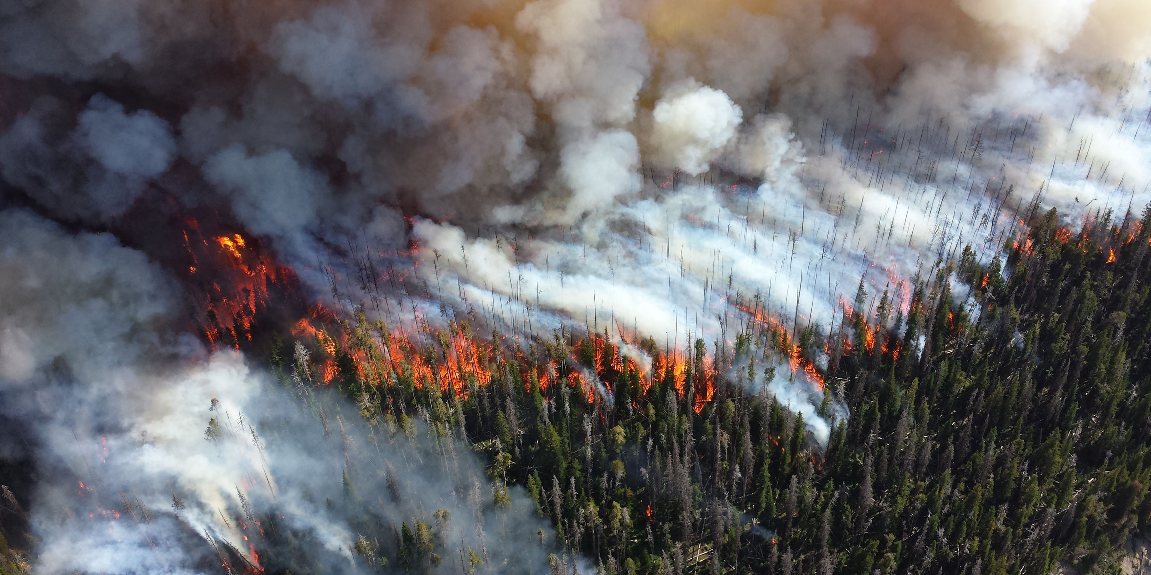 Aerial view of forest fire showing flaming trees and smoke-filled air.